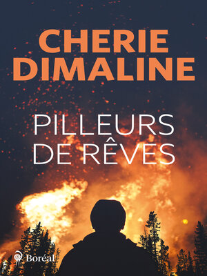 cover image of Pilleurs de rêves